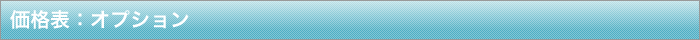 オプション